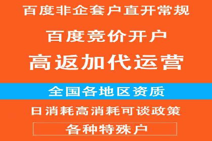 专业SEM代运营公司案例分析