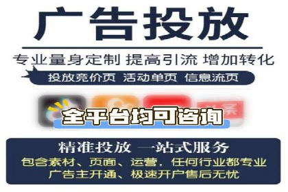 竞价广告投放技巧与案例分析